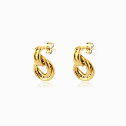 Seraphina Loop Earrings BR3061