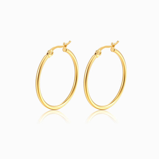 20mm Hoop Earrings BR3026