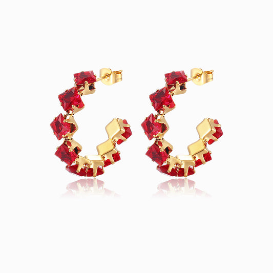 Earrings with Zirconia 30mm BR1126