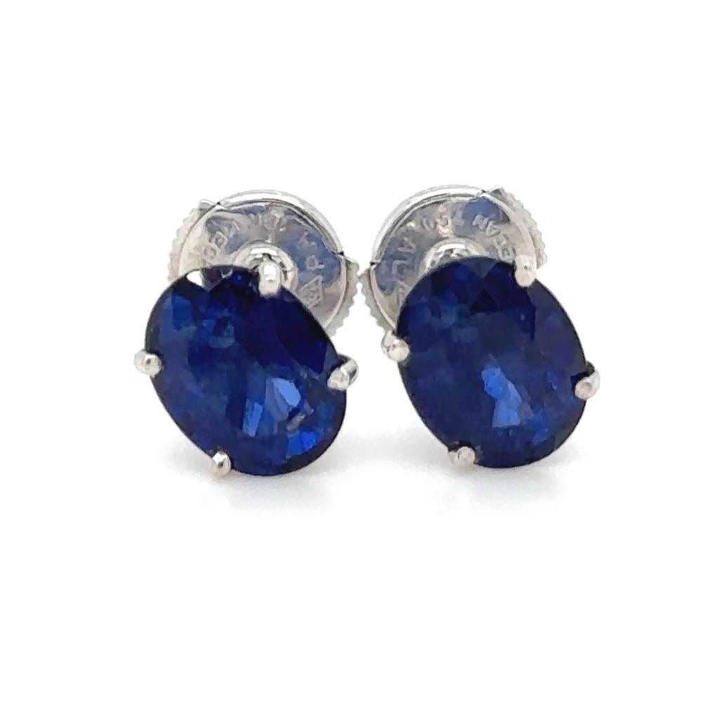 Royal Sapphire Studs