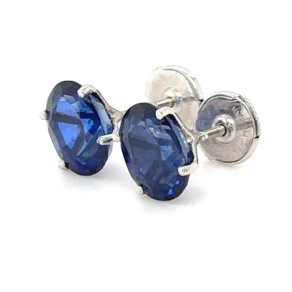 Royal Sapphire Studs