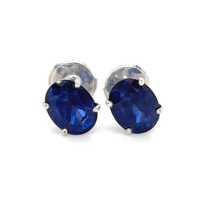 Royal Sapphire Studs