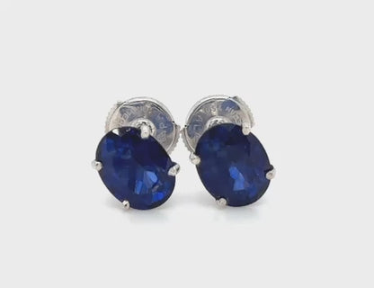 Royal Sapphire Studs